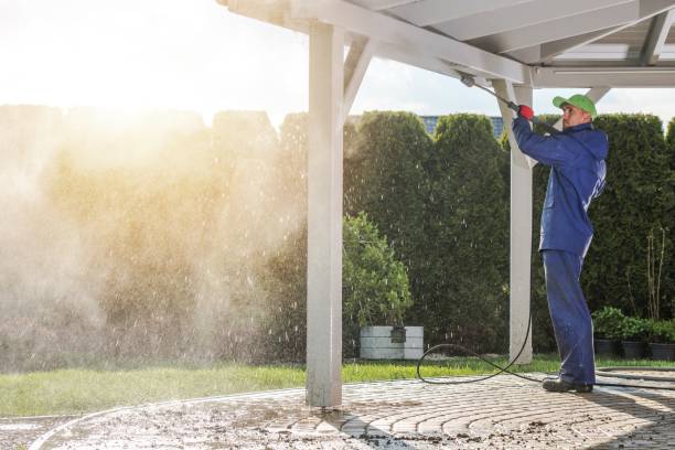 Best Graffiti Removal  in Mcgehee, AR